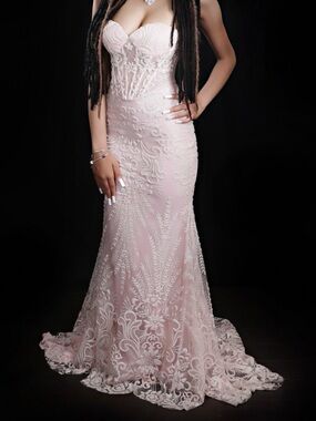Rachel Allan Strapless Blush Pink Lace Mermaid Gown